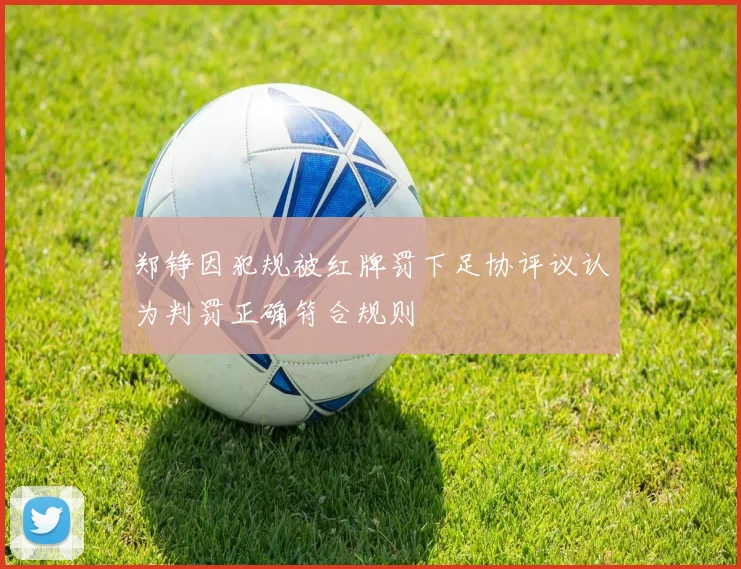 郑铮因犯规被红牌罚下足协评议认为判罚正确符合规则