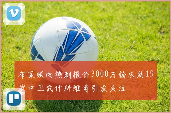 布莱顿向热刺报价3000万镑求购19岁中卫武什科维奇引发关注